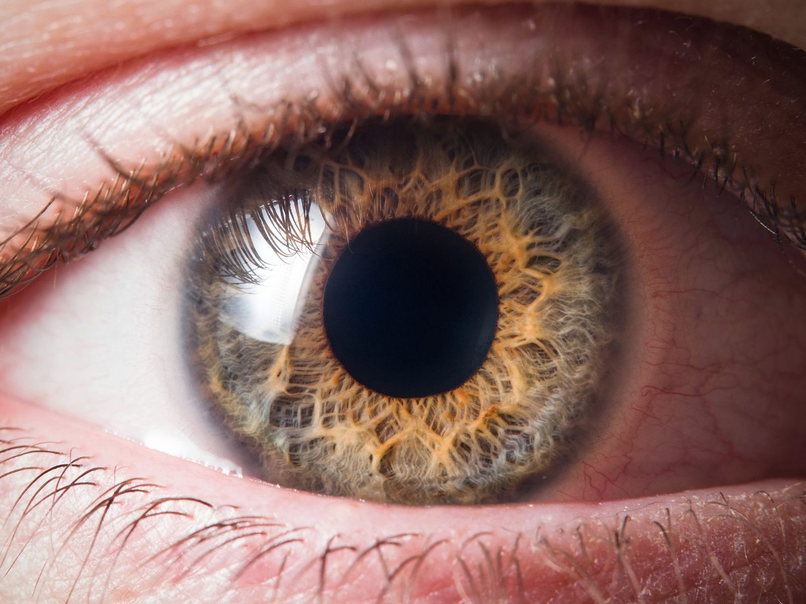 Nahaufnahme der Augen einer Leserin, die einen Artikel liest